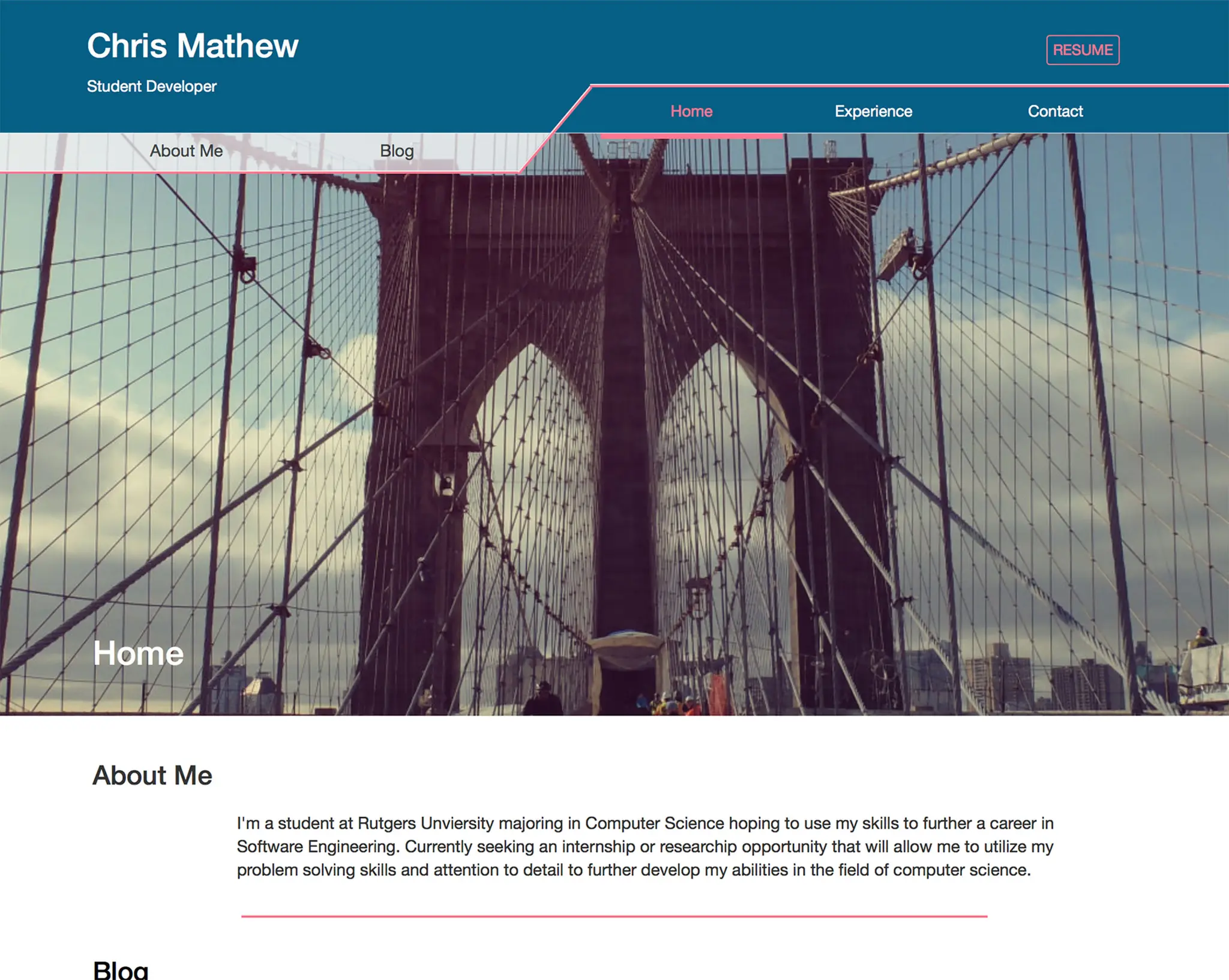 Chris Mathew Project project preview